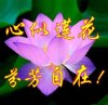 空谷幽幽